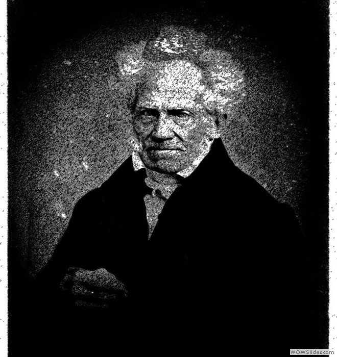 Schopenhauer par Guy Heff 