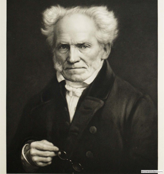 Schopenhauer par R. Paulussen